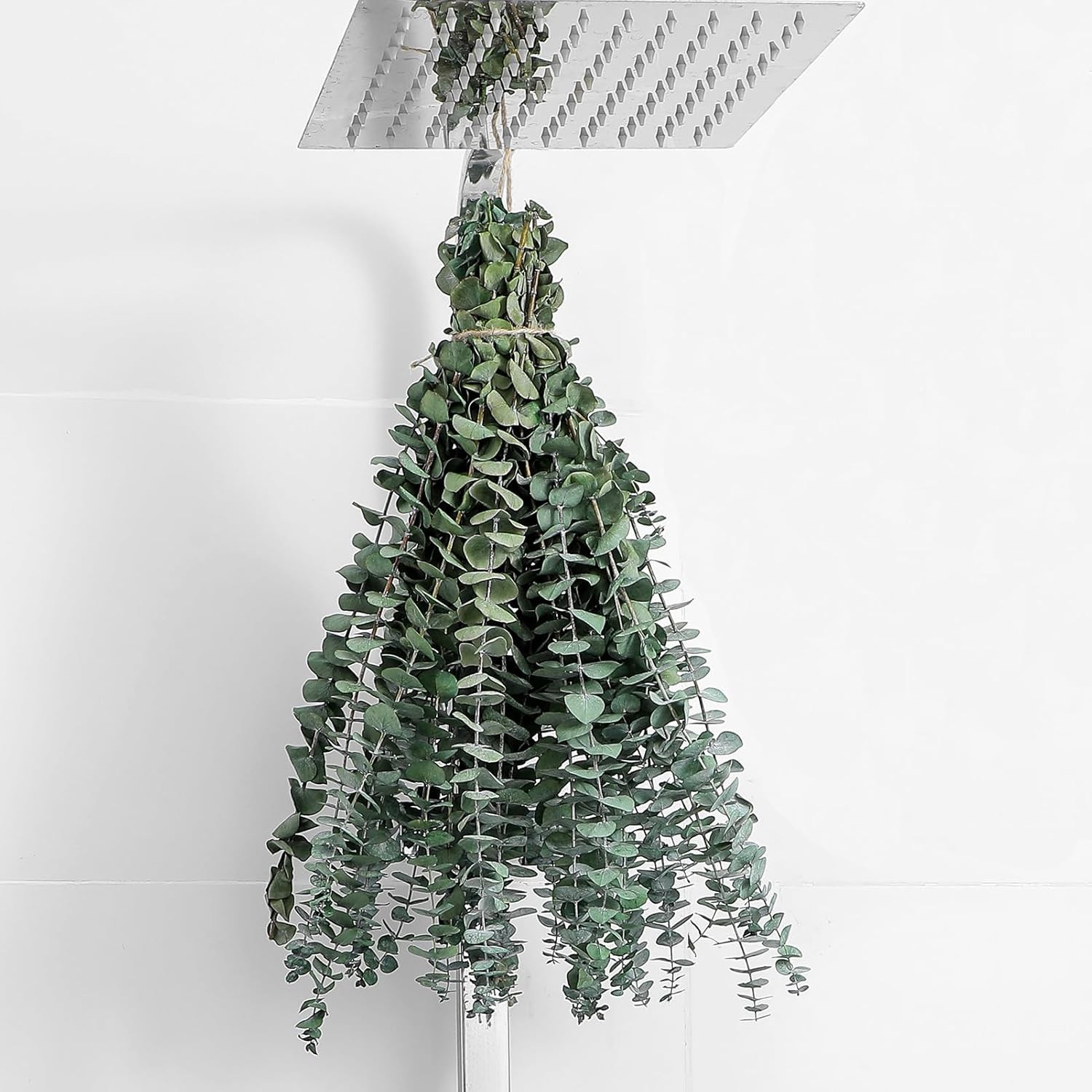 Aromatic 10 Pcs Dried Eucalyptus Stems 17” – Ideal for Weddings & Homes