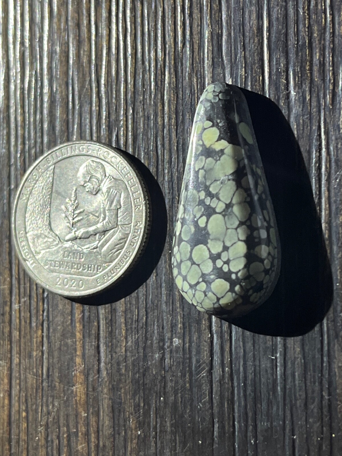 Tree Frog Variscite mine 19.55 ctw Pear Tear drop Cabochon NV, USA