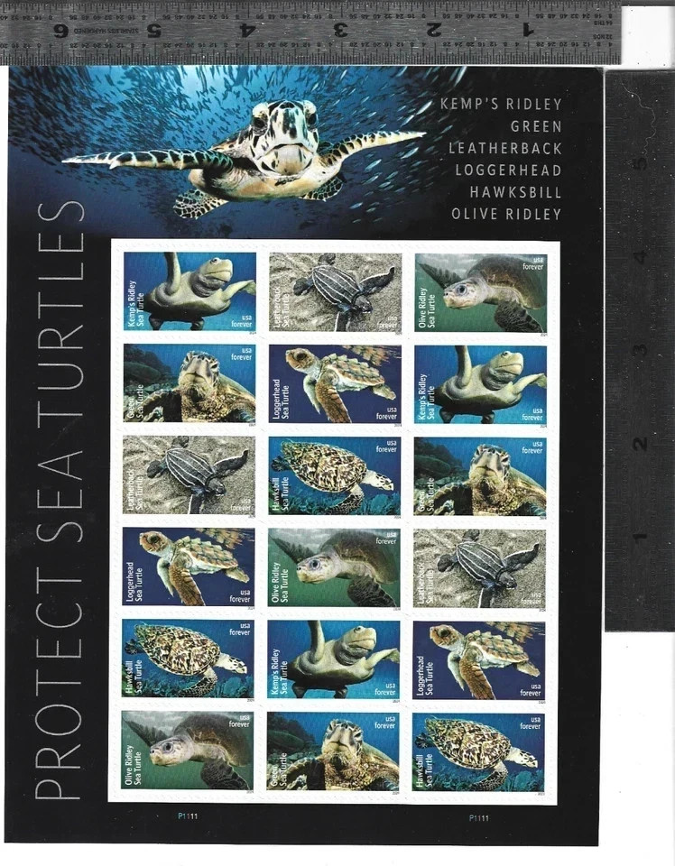 ANIMALS & NATURE – 1 sheet