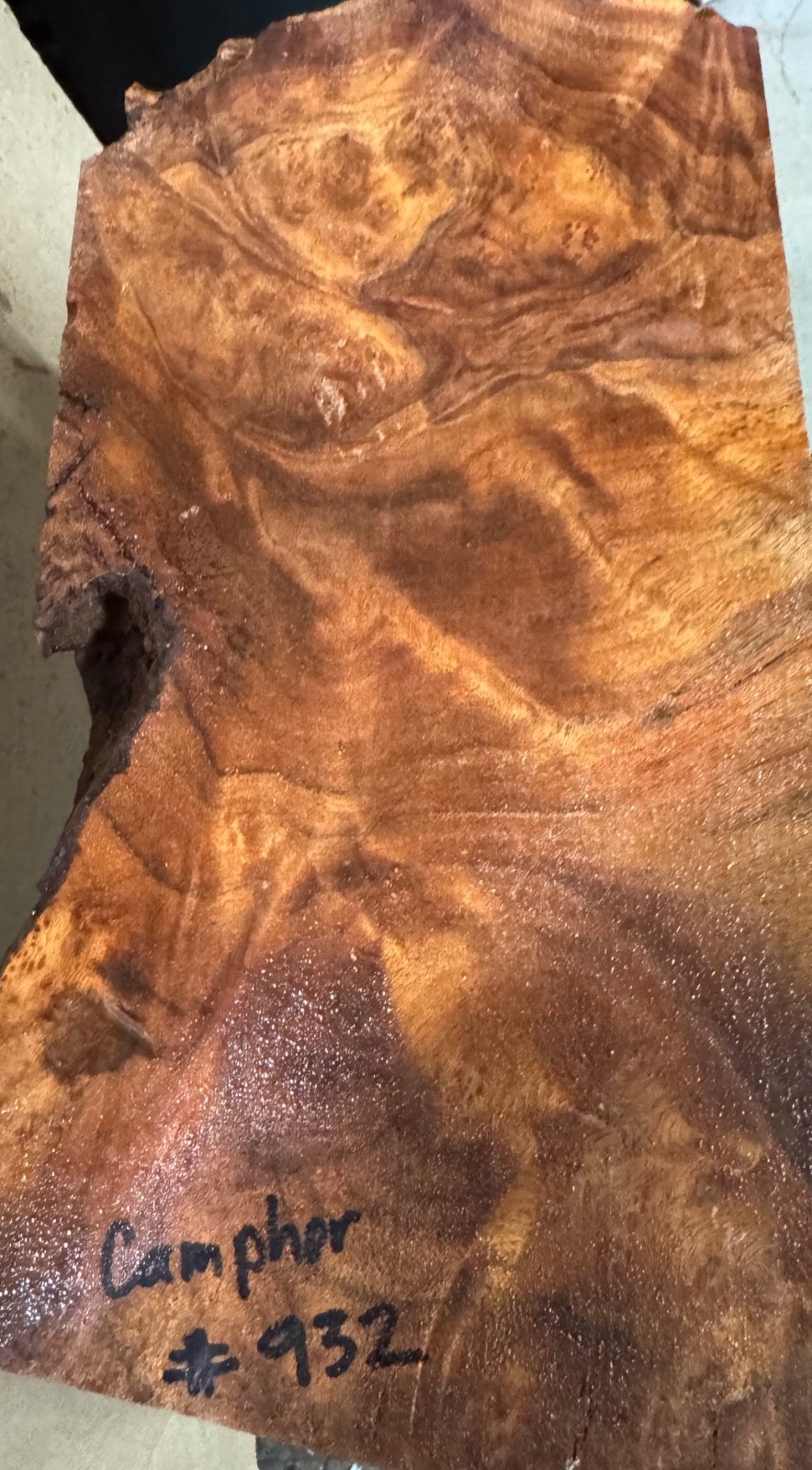 Camphor Burl,turning blank, Bowls,Penblanks,#CAM932