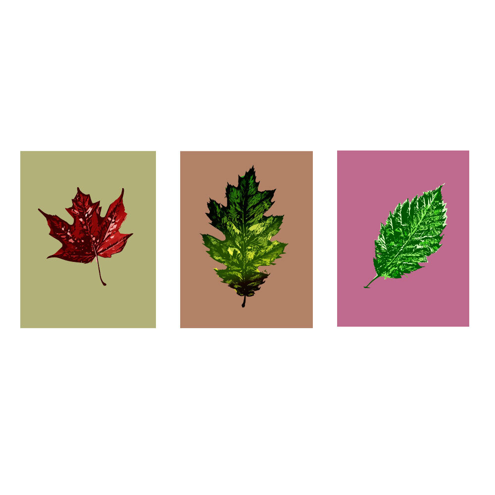 Designs ByLITA Red Maple Leaf, Oak Leaf, Beech Leaf (3 Pack), Wall Print Art