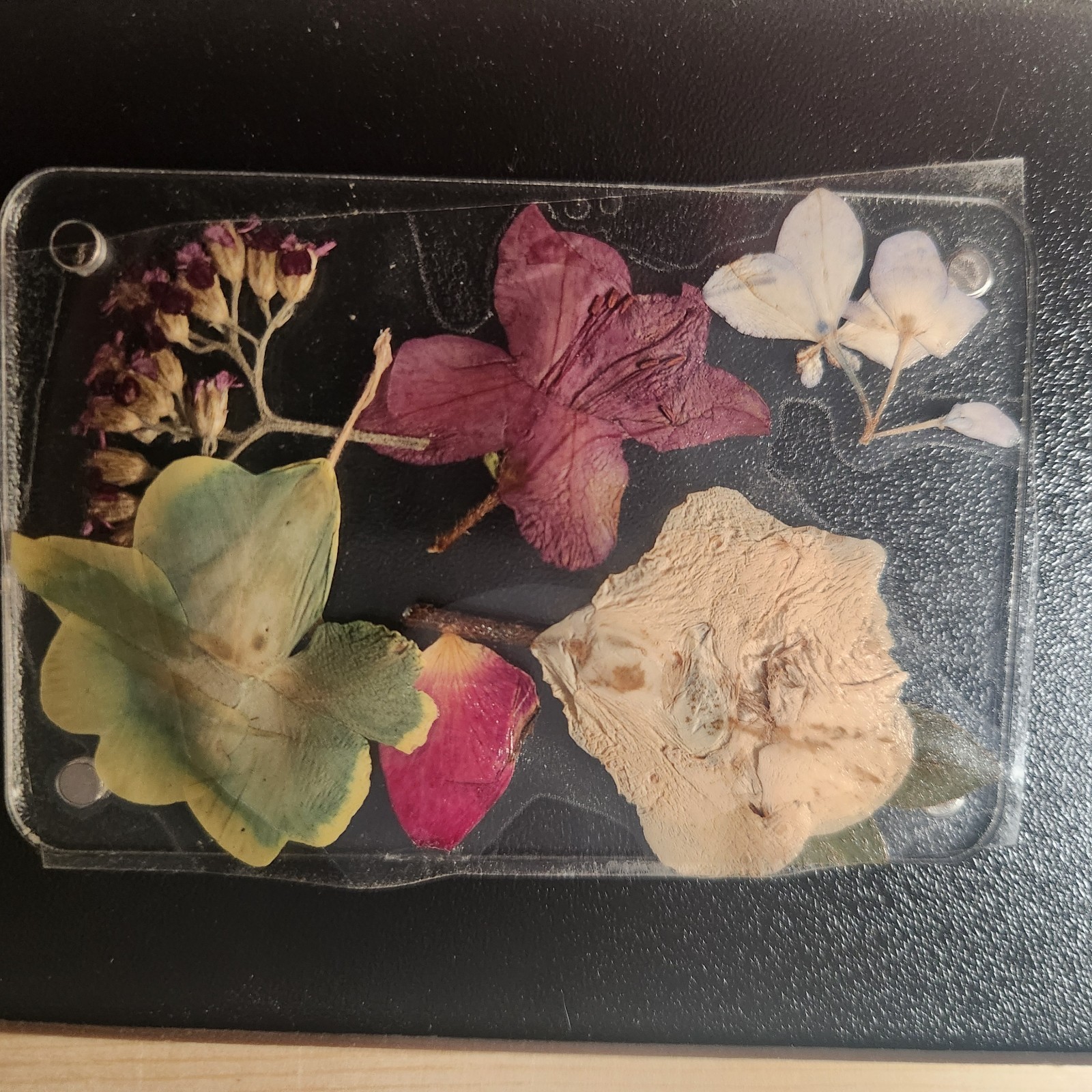Assorted Pressed Dried Flowers Clear Resin Cards Multiple Plant Parts