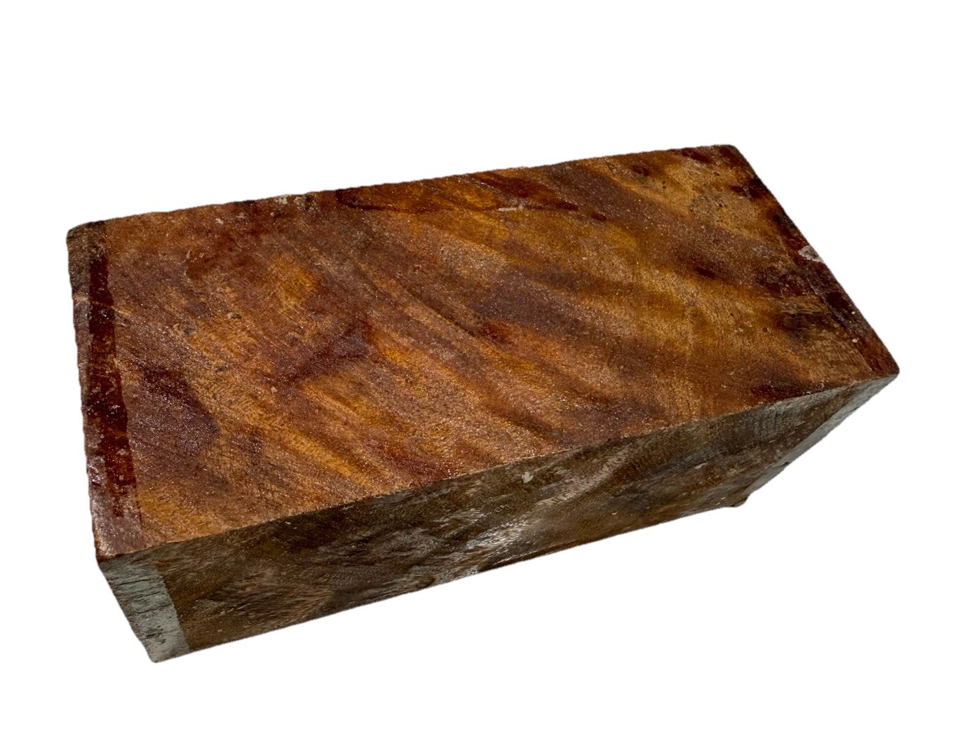 Camphor Burl wood turning blank 2-1/2″ x 2-1/2″ x 5-5/8″ (m27) Dried