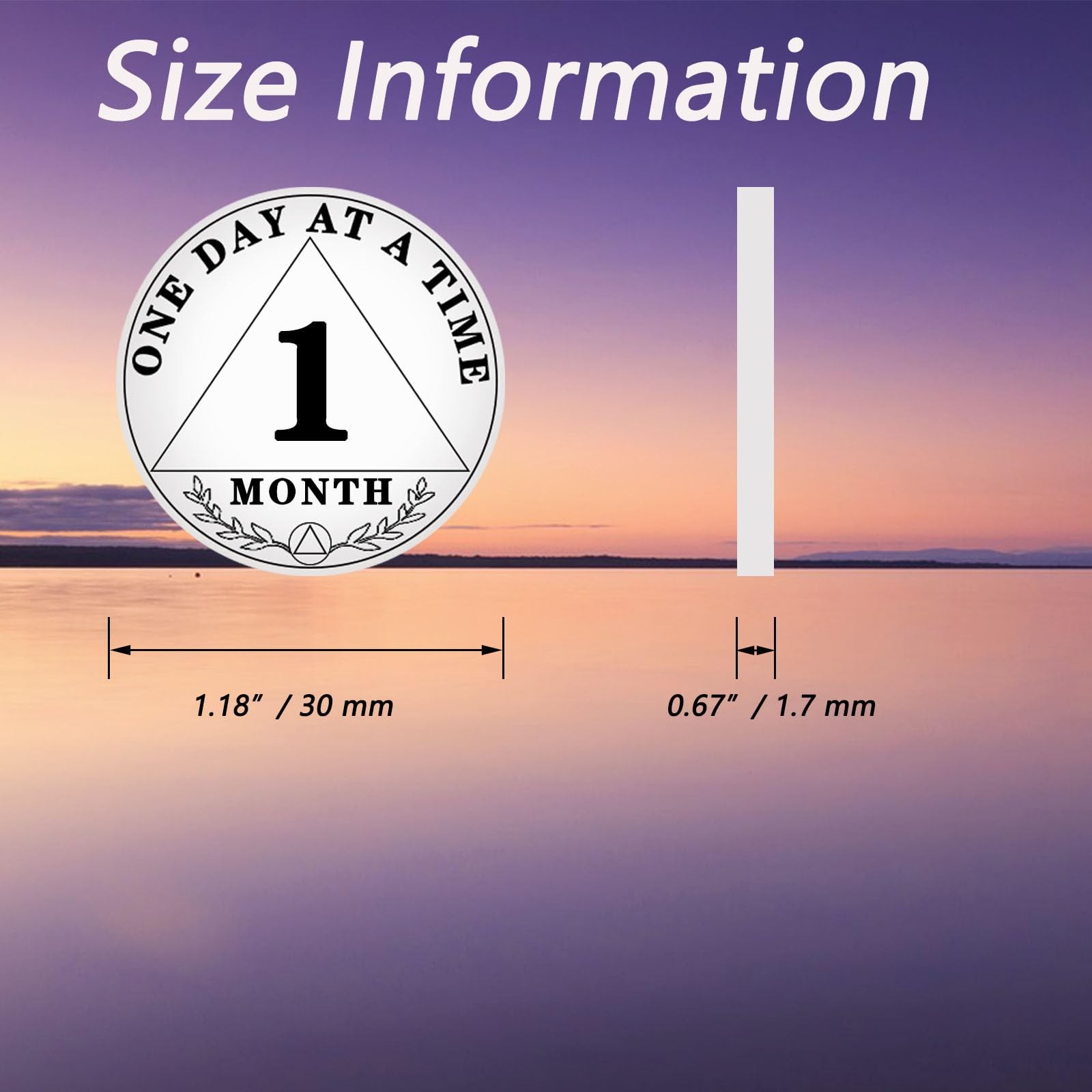 1 Month Sobriety Chip, 30 Days Coin One Day at A Time AA Chips and…