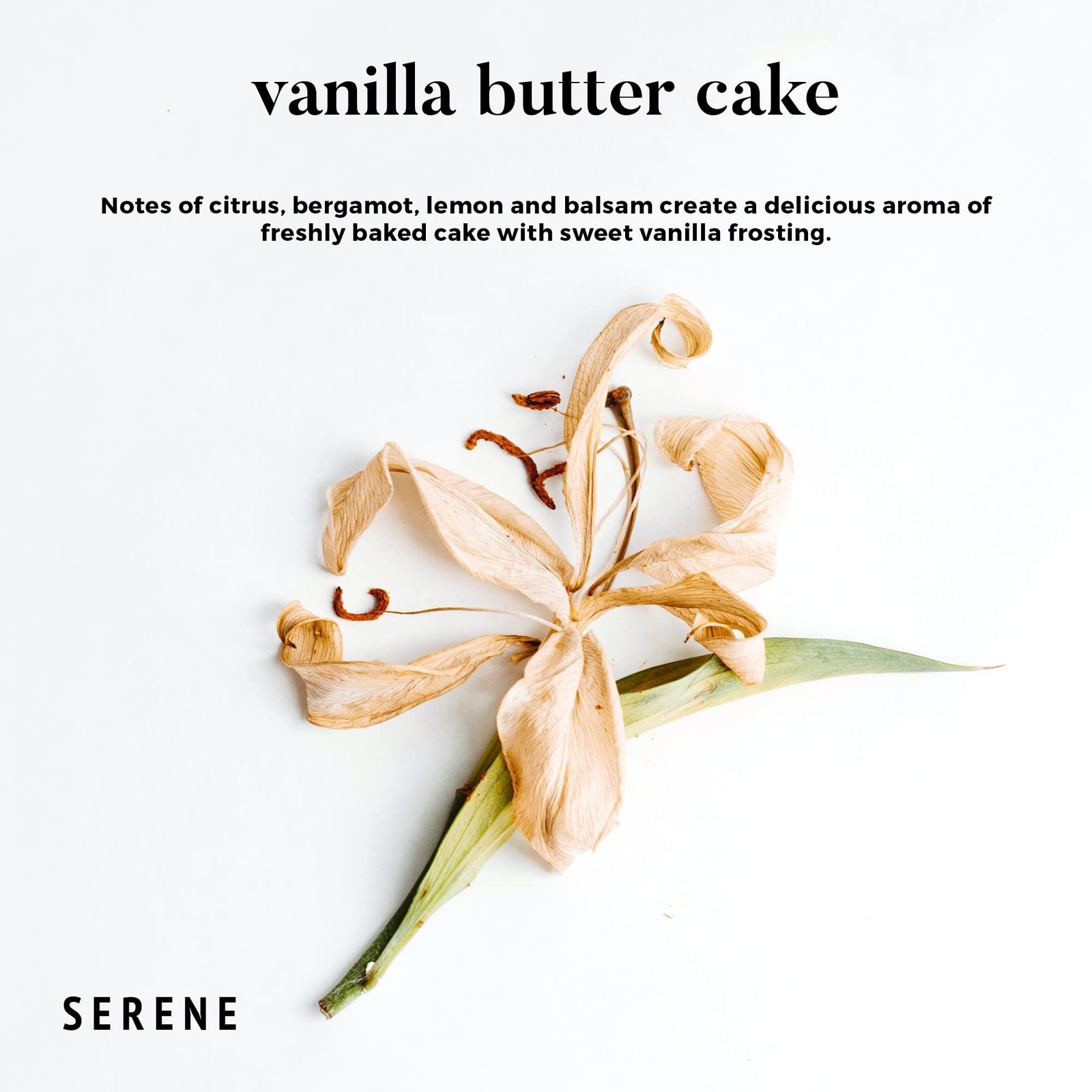 Candles for Home Scented, Big Candles Vanilla Butter Cake Scented, 30oz Natur…