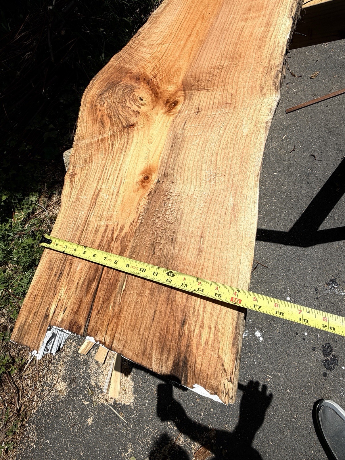 13’ Live Edge Big Leaf Maple Slab Highly Figured Low Moisture Delivery Options