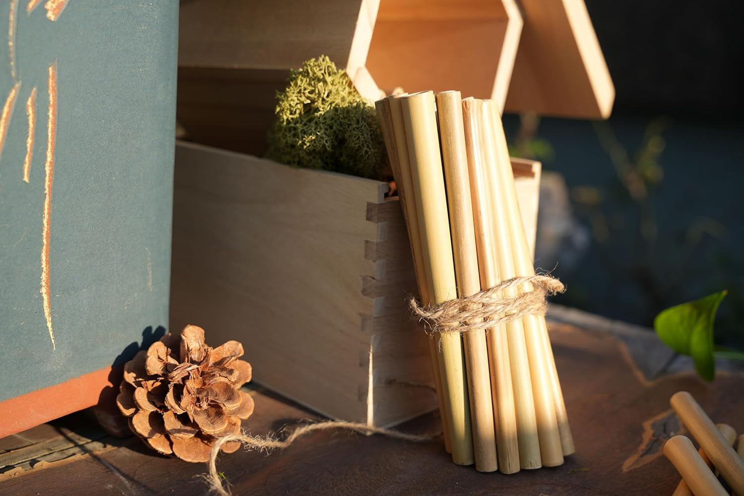 Bamboo Craft Tubes – 100 Count, 5″ Eco-Friendly Sticks for DIY Bee Hotels, So…