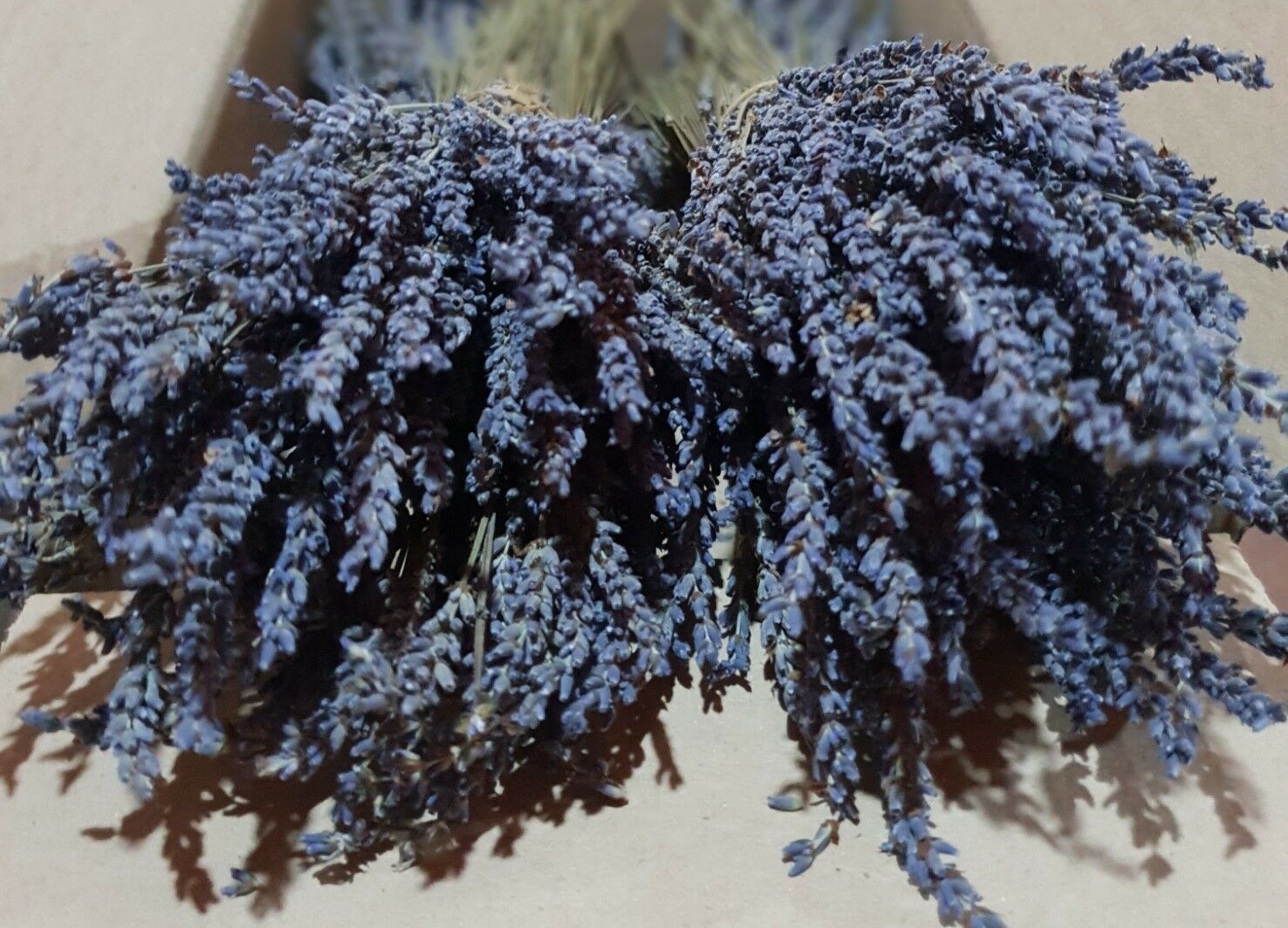 Certified Organic Greek Dried Lavender 22 Bunches 32cm | Harvest July 2024