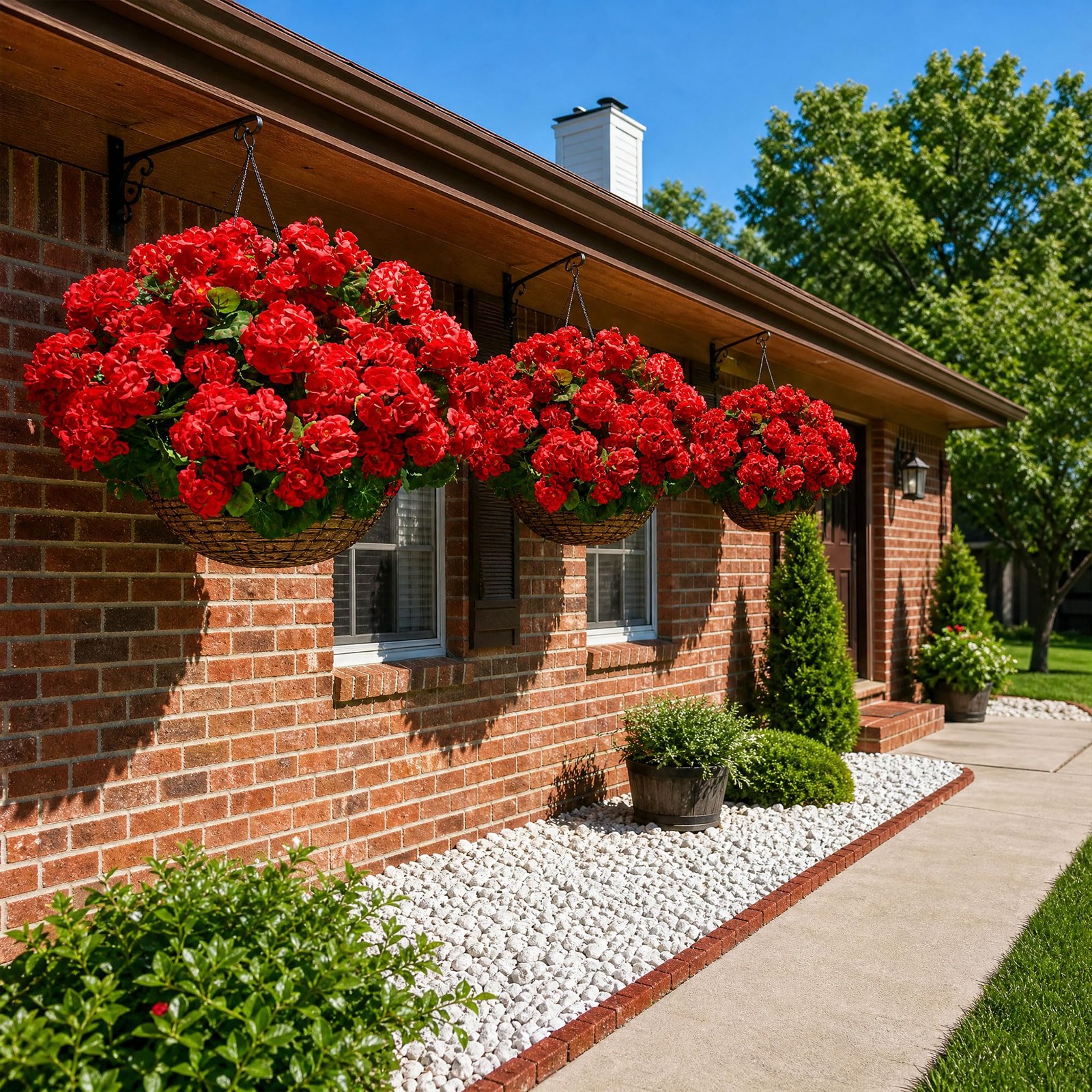 Artificial Geraniums Fake 3 inches (D) x 4.5 (W) x 9 (H), 6 Red
