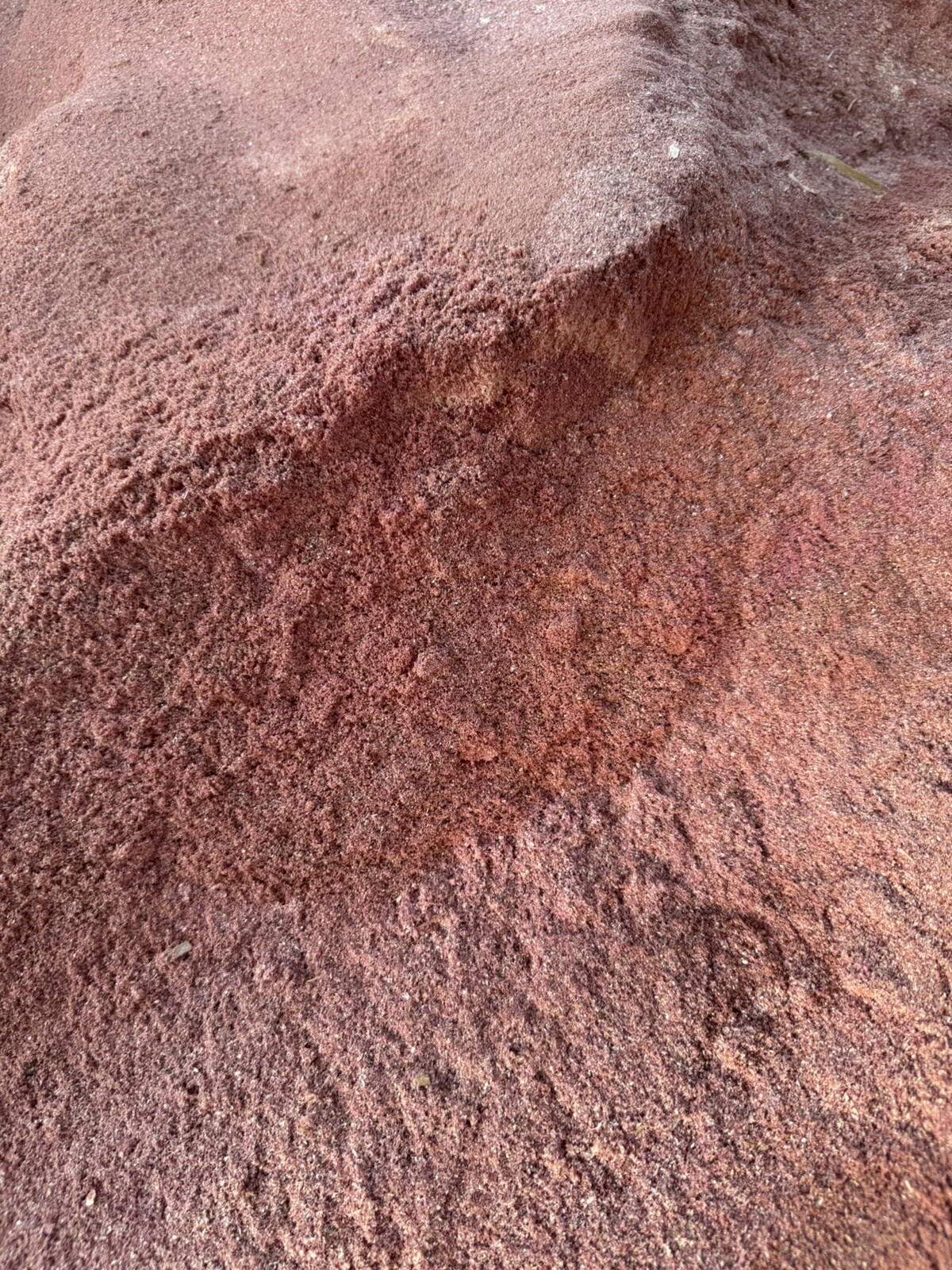 Red Cedar Sawdust Red Great Natural Forest Smell – Natural Insect Repellent