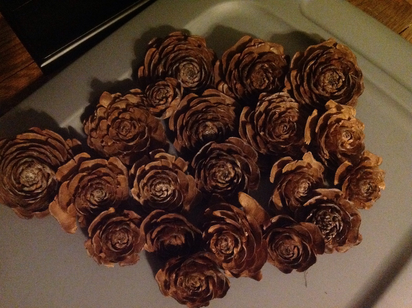 100 Cedar medium/Large cedar rose pine cone Wood Rustic Wedding Flowers Wooden