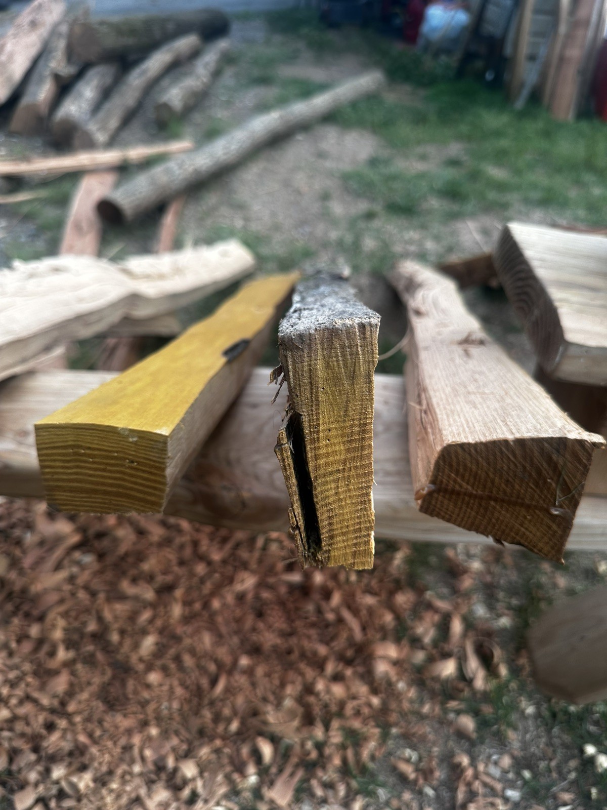 Premium Grade, Aged And Cured Black Locust Bow Staves