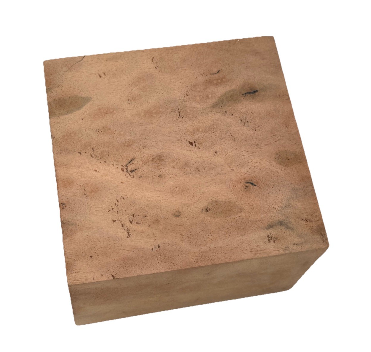 Camphor Burl Bowl turning blank 4-1/4” x 4-1/4” x 2-7/8” (b45) dried