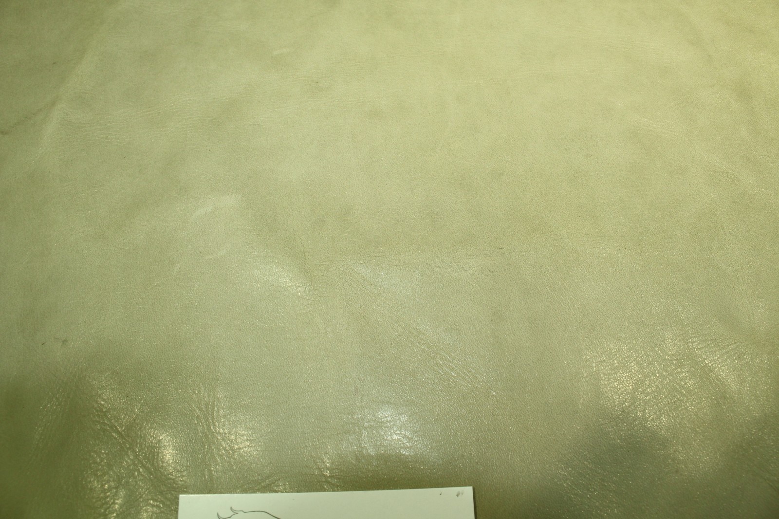 “Smooth Celery Ice” with natural markings and high-low effects ZE29