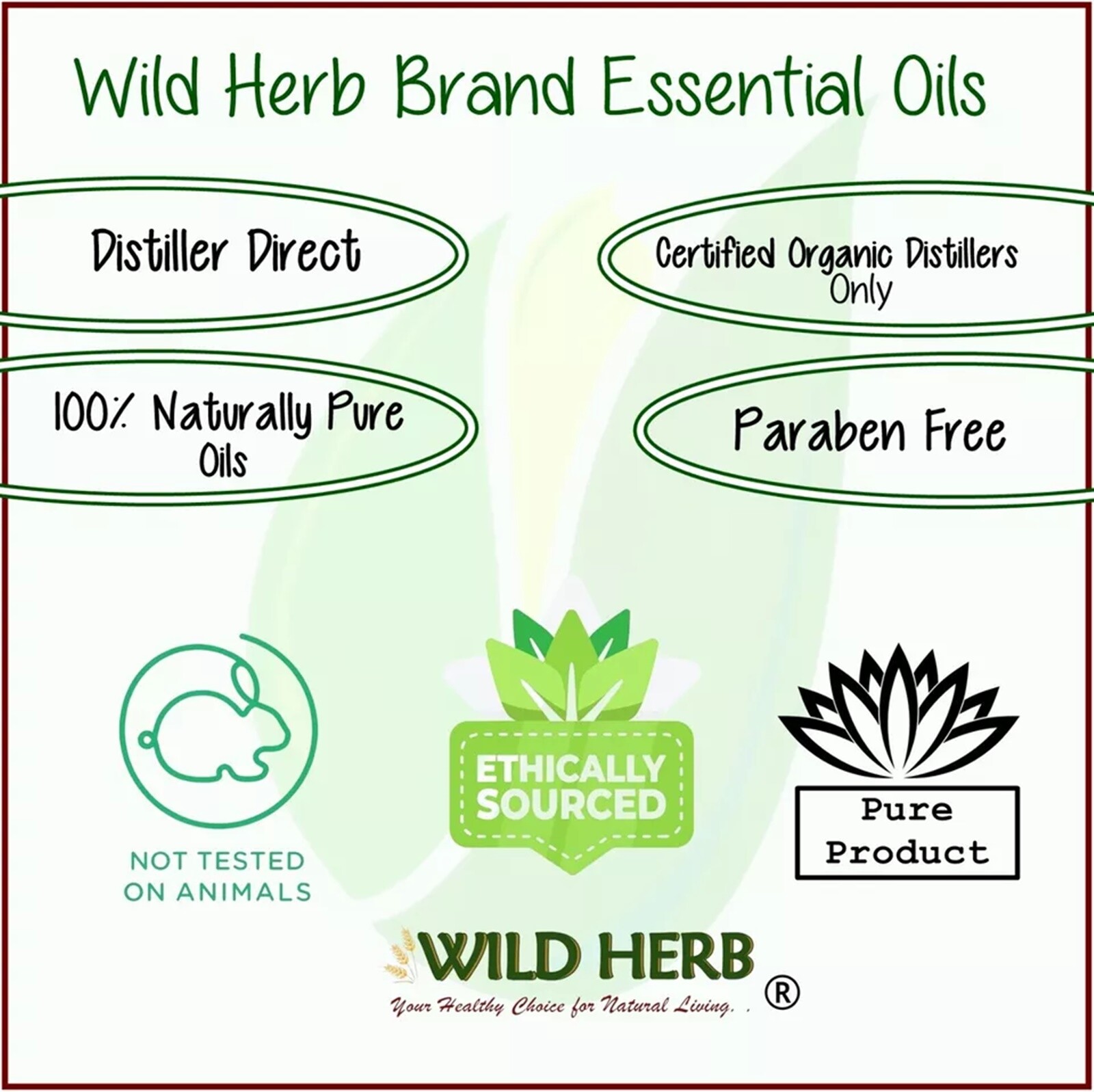 ORGANIC PALMAROSA PURE ESSENTIAL OIL | Distiller Direct | Wholesale | Bulk Sizes