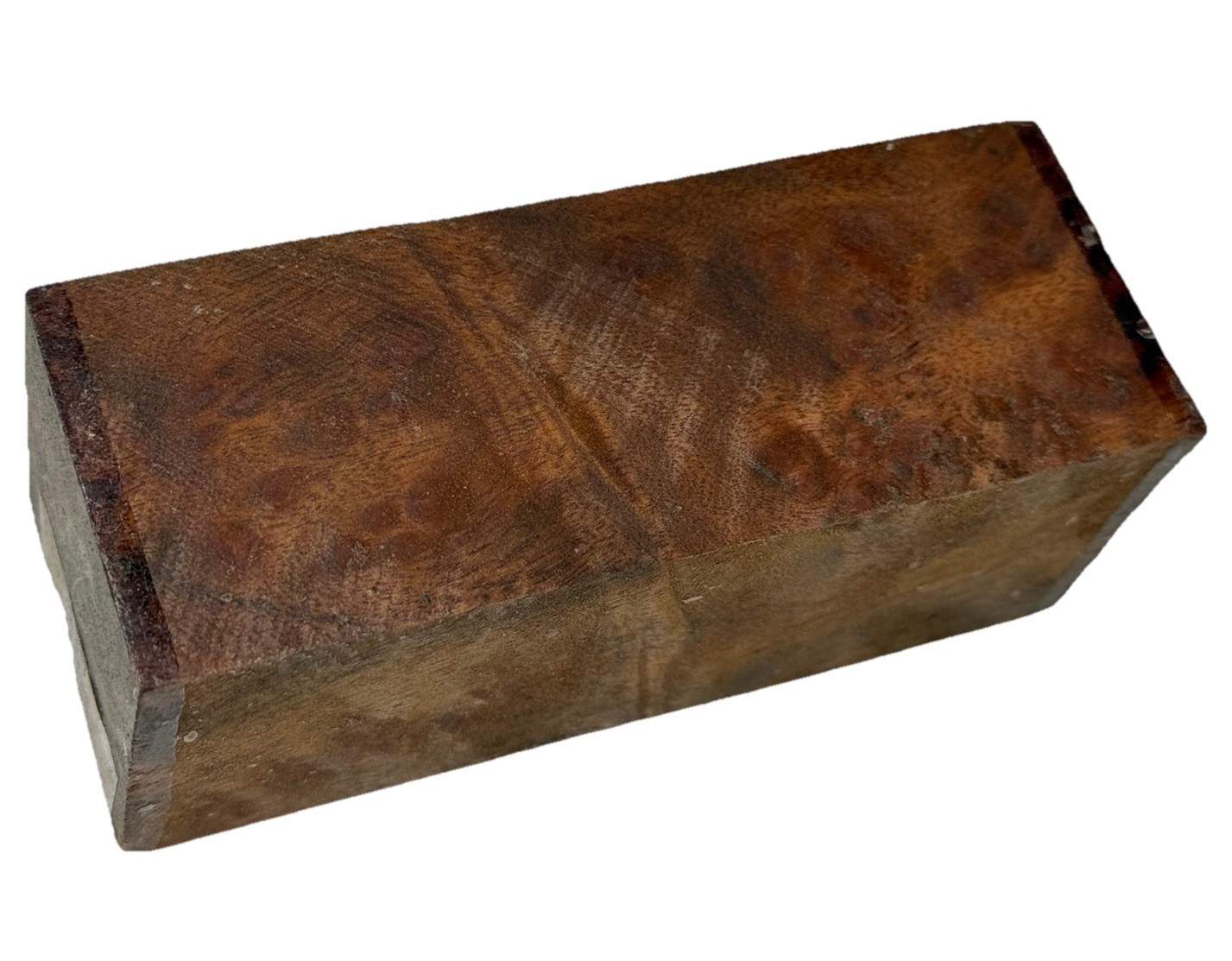 Camphor burl wood turning blank 2-1/8″ x 2-1/8″ x 5-1/2″ (e96) Dried Burl Wood