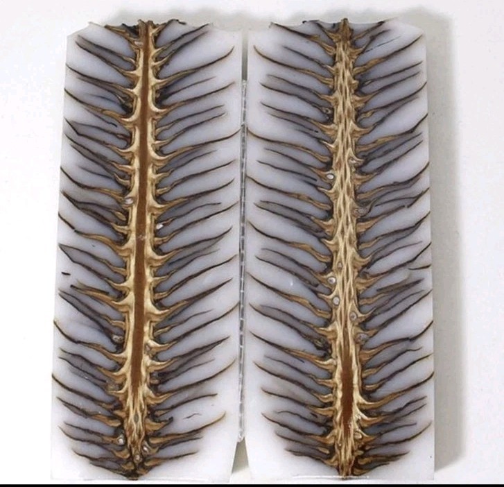Custom Made Stabilized Pine Cones Resin Pair Scales For Knife Making Handle 2978