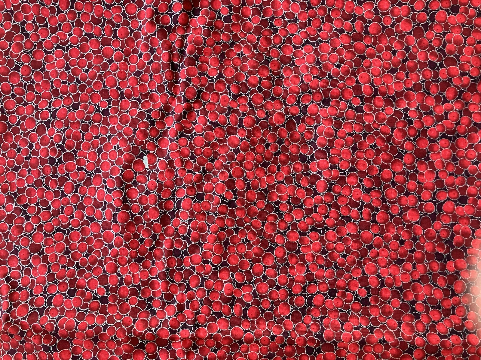 Jordan Fabrics Christmas Blossom #10011 Berries Metallic Silver 2 YD w/Defect B3
