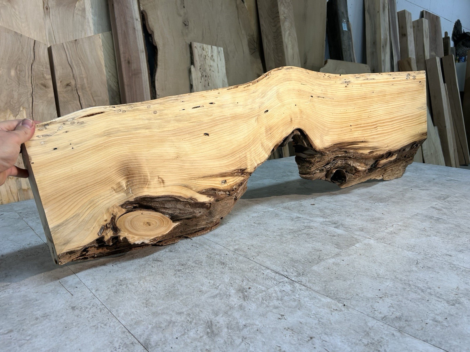 Gnarly Live Edge Pine Wood Slab/ Rustic Shelf or Mantle/Dried Wormy Pine Wood