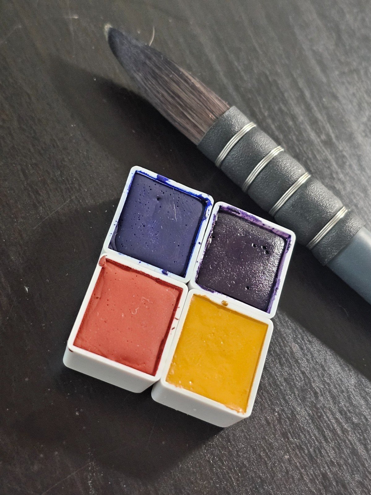 Studio Core | Handmade Watercolor Paints | Wild Pigment Co