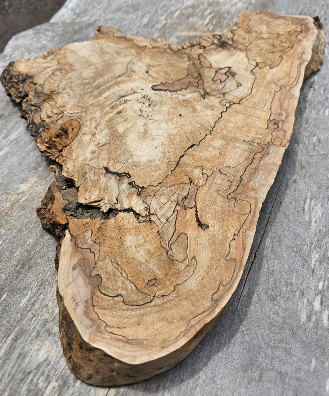 Natural Edge Ink Line Spalted Maple Slab