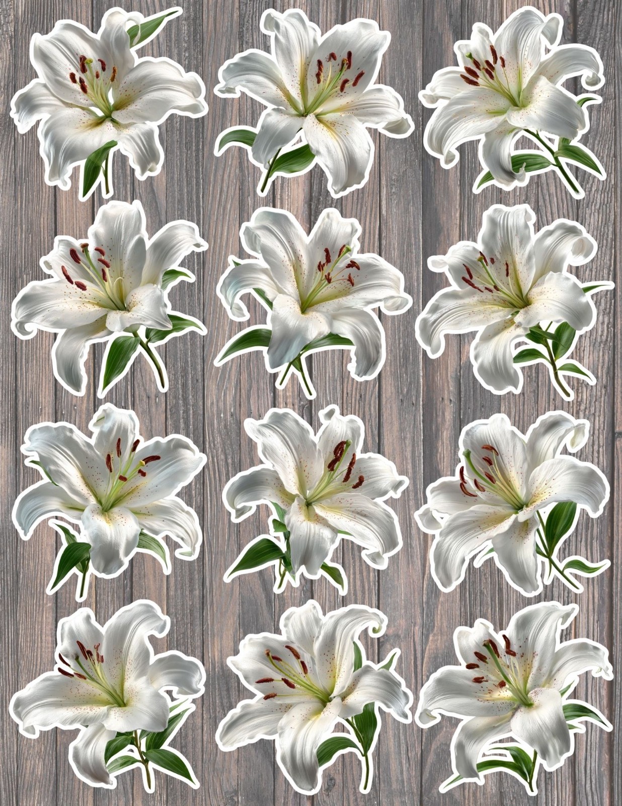 White Lily Vinyl Die Cut Stickers Set Scrapbooking Laptop Water Bottle