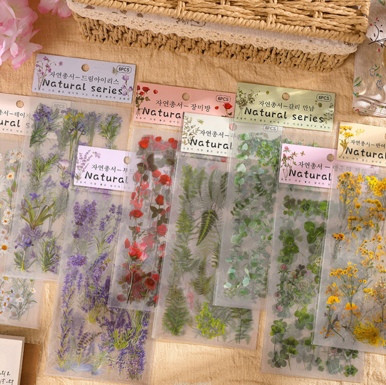 6Pcs Natural Journal Stickers PET Sticker Paper Scrapbooking Material Scrapbook