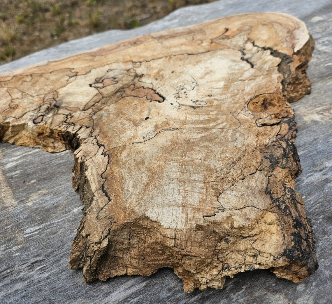 Natural Edge Ink Line Spalted Maple Slab