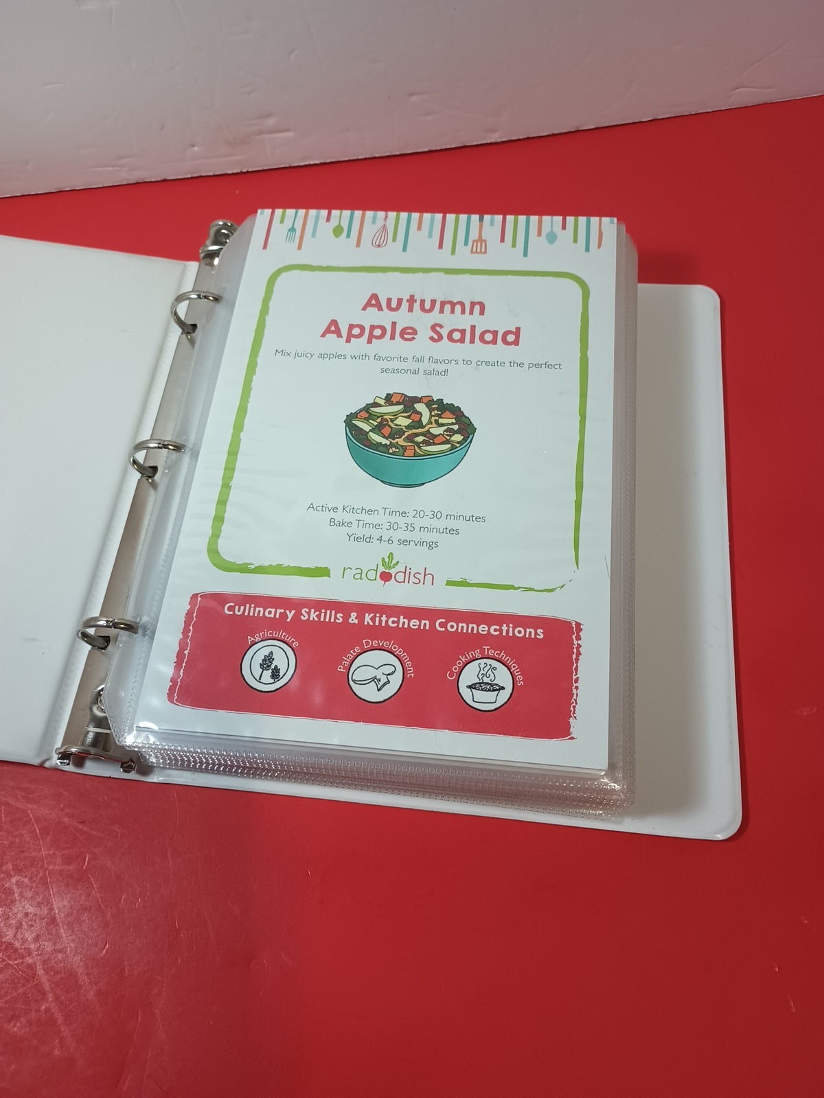 Lot Of 18 RADDISH KIDS Cooking Recipe Cards, INSTRUCTIONS, TRI-FOLD +12 Cards