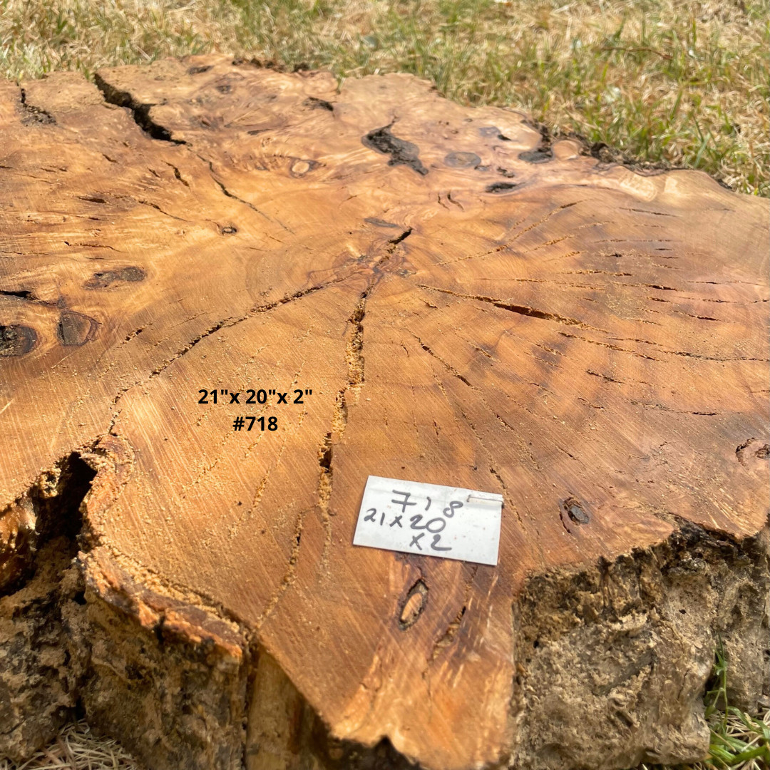 Live Edge Olive Wood Cookies for Woodworking, Crafting, Resin Table