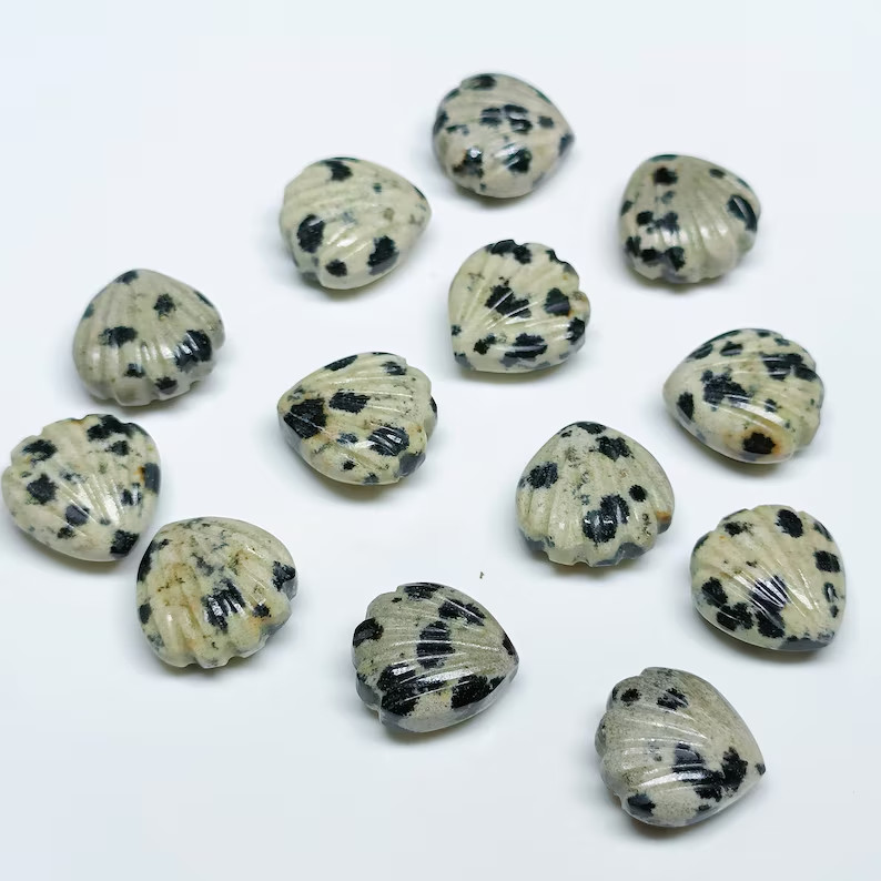 5Pcs Natural Dalmatian Jasper Shell Shape Briolette’s,12mm Hand Carved Beads