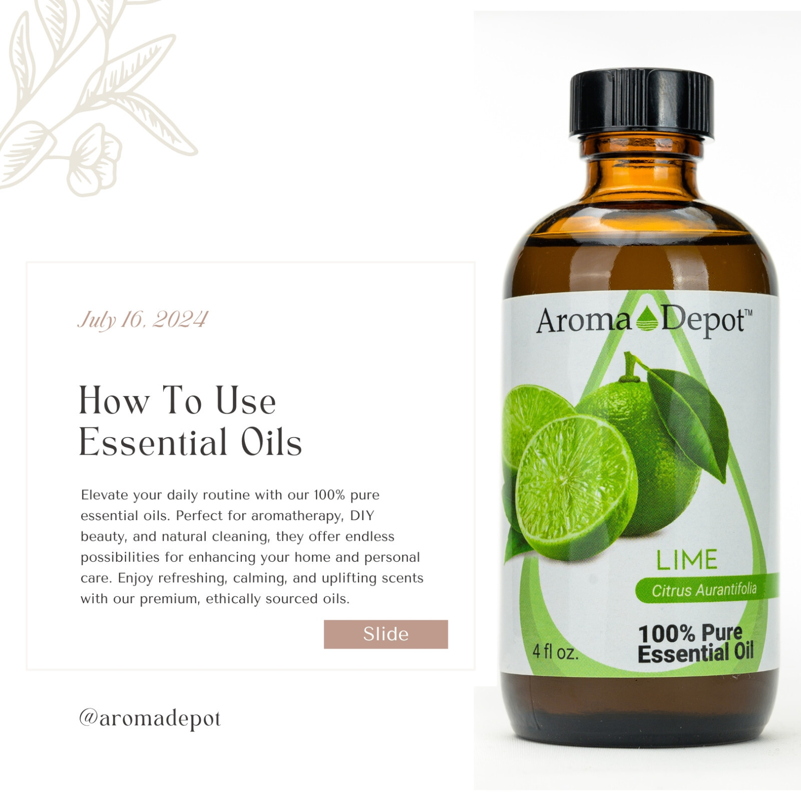 Lime Essential Oil Therapeutic Grade 100% Pure Natural Aceite Lima Esencial