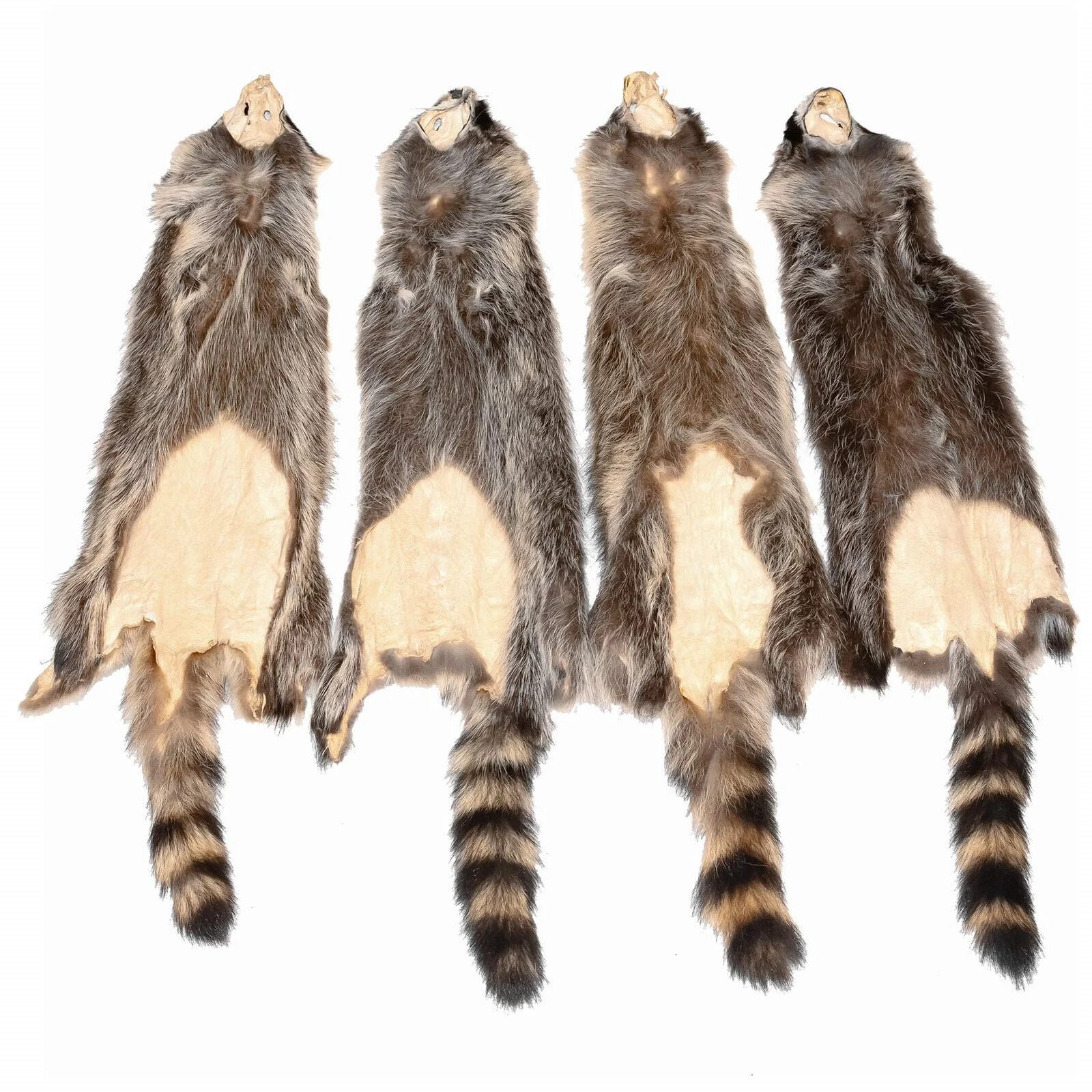 Soft Tanned Raccoon Medium Grade