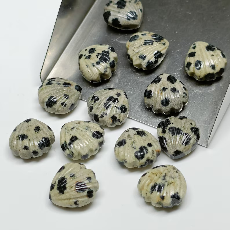 5Pcs Natural Dalmatian Jasper Shell Shape Briolette’s,12mm Hand Carved Beads