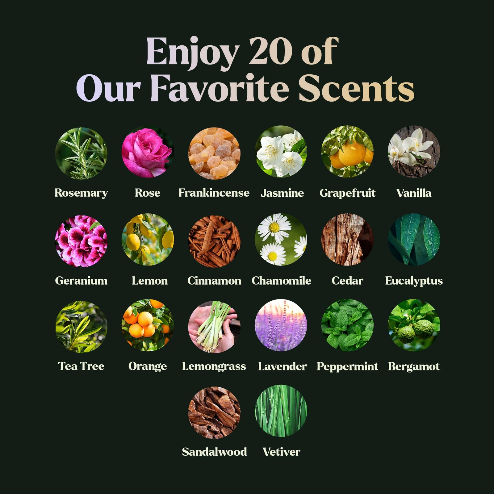 Lagunamoon Essential Oils Set, Top 20 Gift Set 0.33 Fl Oz (Pack of 20)