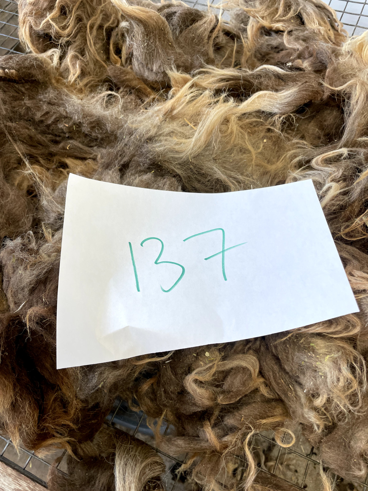 2+lbs Navajo Churro Sheep Wool fiber fleece spinning weaving felting locks hair