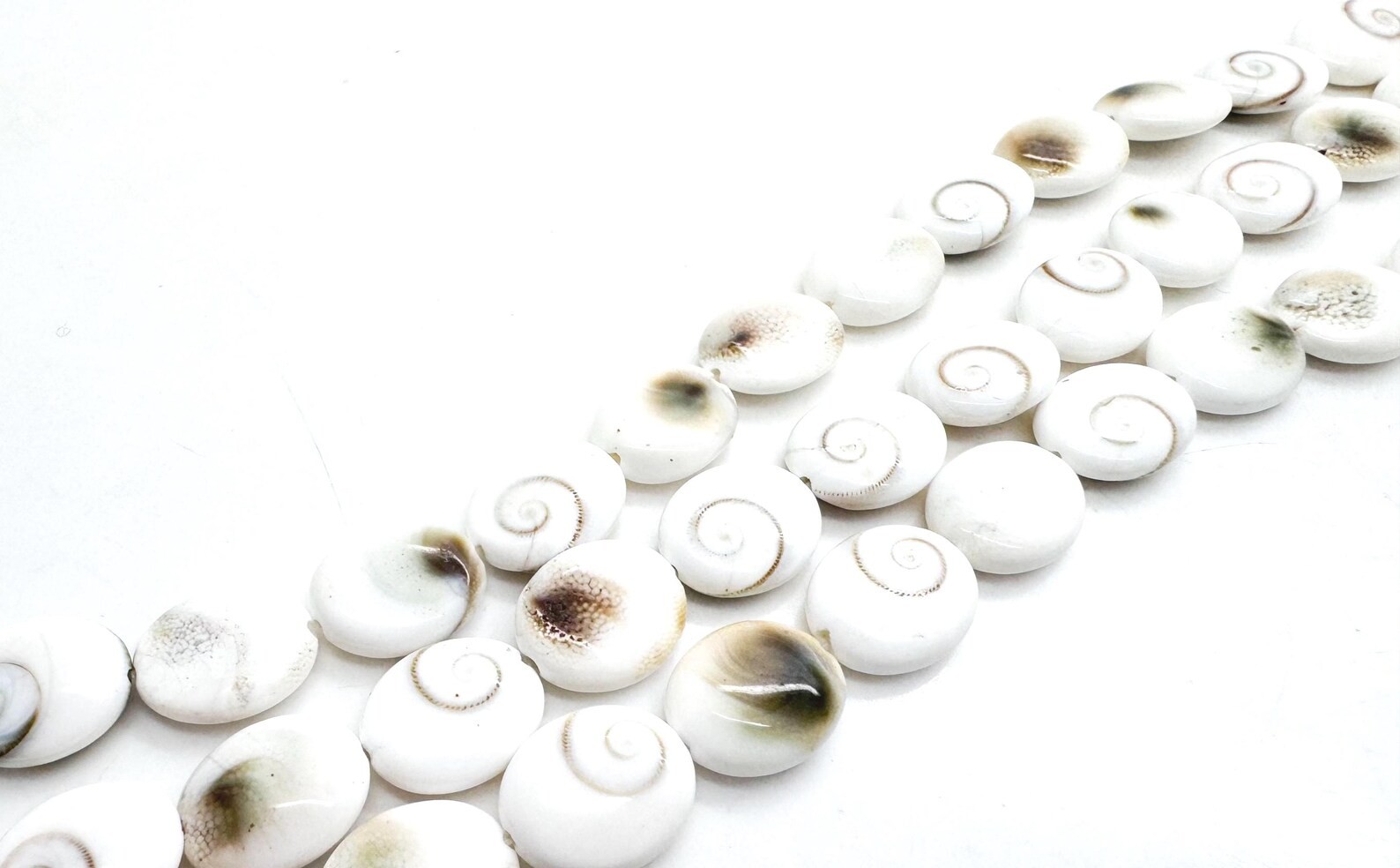 Genuine Natural White Shiva Eye Pacific Cat’s Eye Spiral Shell Oval Beads PG291