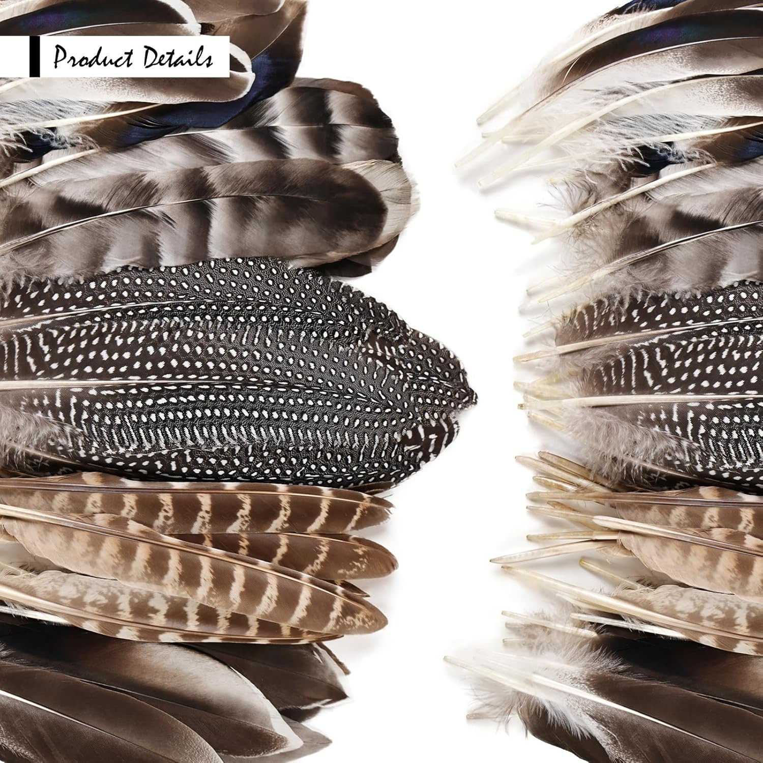 40 Pcs Natural Pheasant Feathers Bulk Spotted Feathers 5 Styles Mixed Feathers