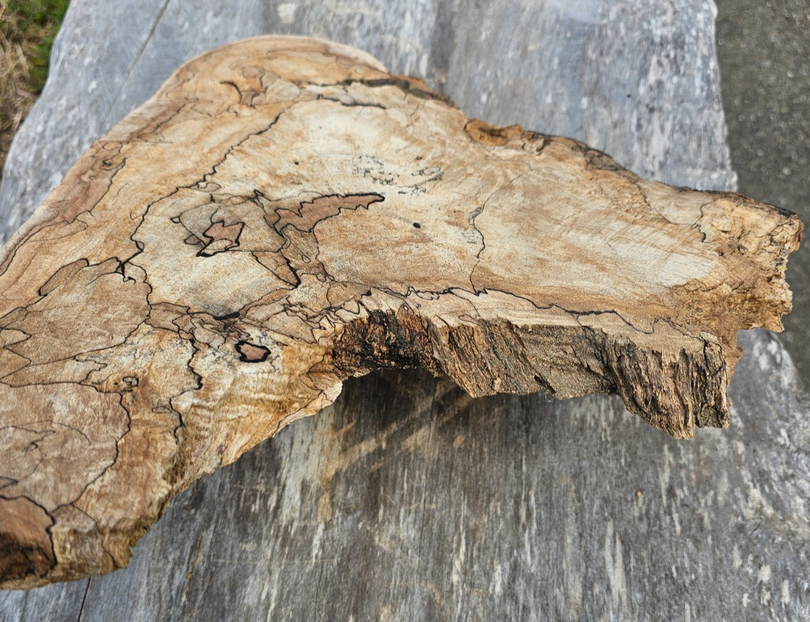 Natural Edge Ink Line Spalted Maple Slab