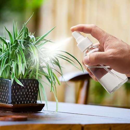 Clear Glass Spray Bottles 4 oz, Small Empty Spray Bottles for Essential Oils,