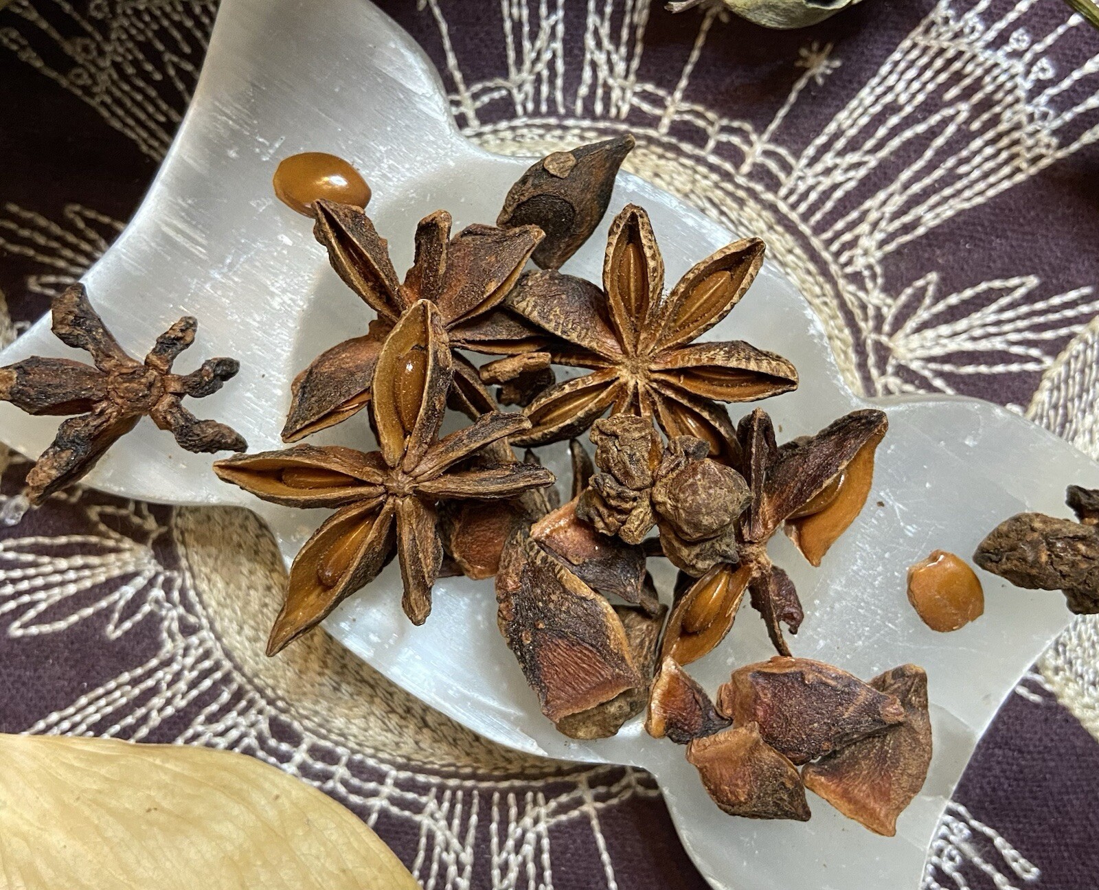 Star Anise Whole and Pieces, Psychic Powers, Luck, Ward Off Bad Dreams