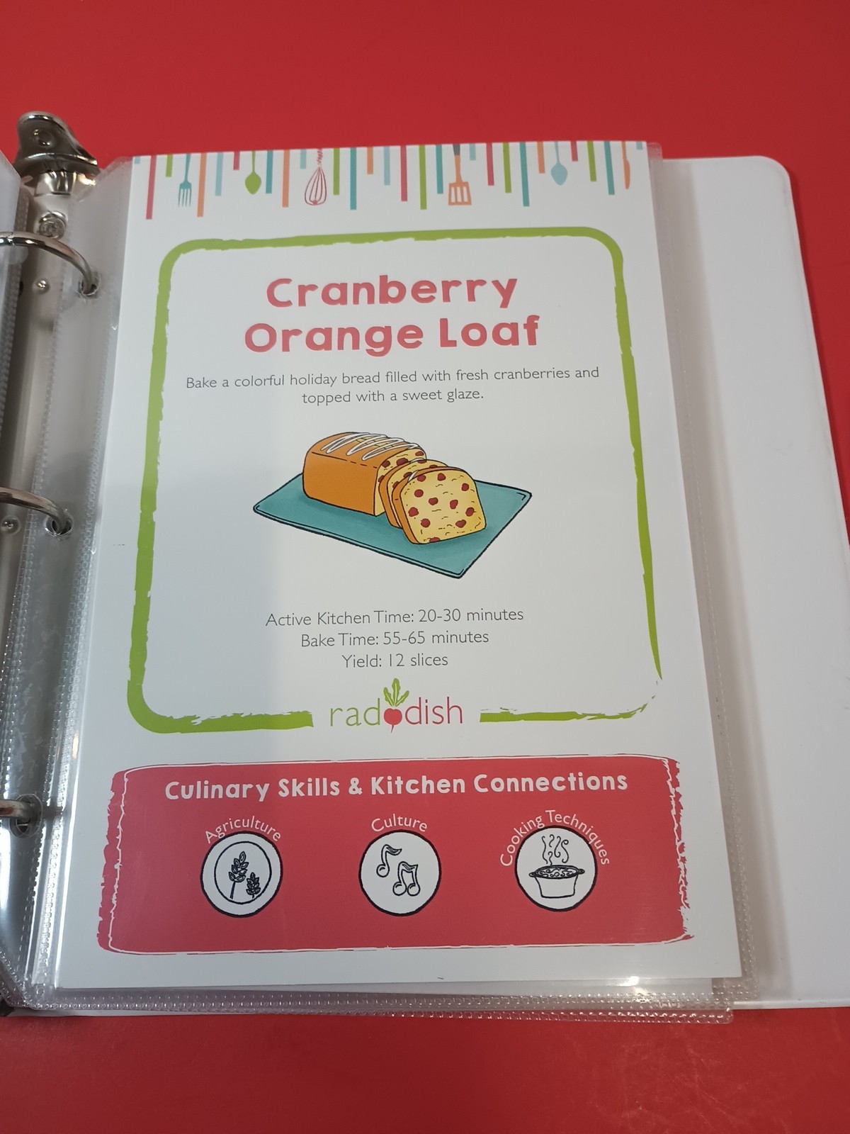 Lot Of 18 RADDISH KIDS Cooking Recipe Cards, INSTRUCTIONS, TRI-FOLD +12 Cards