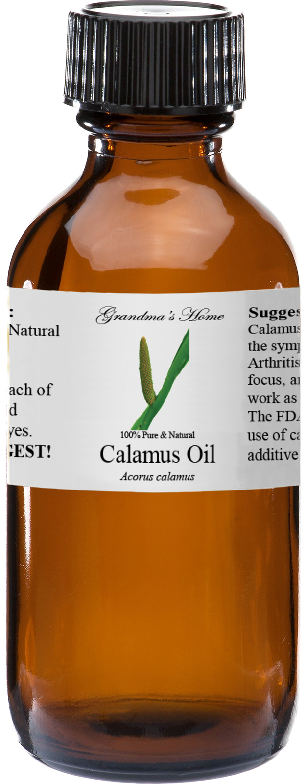 Calamus Essential Oil 2 oz – 100% Pure – Therapeutic Grade – Grandma’s Home