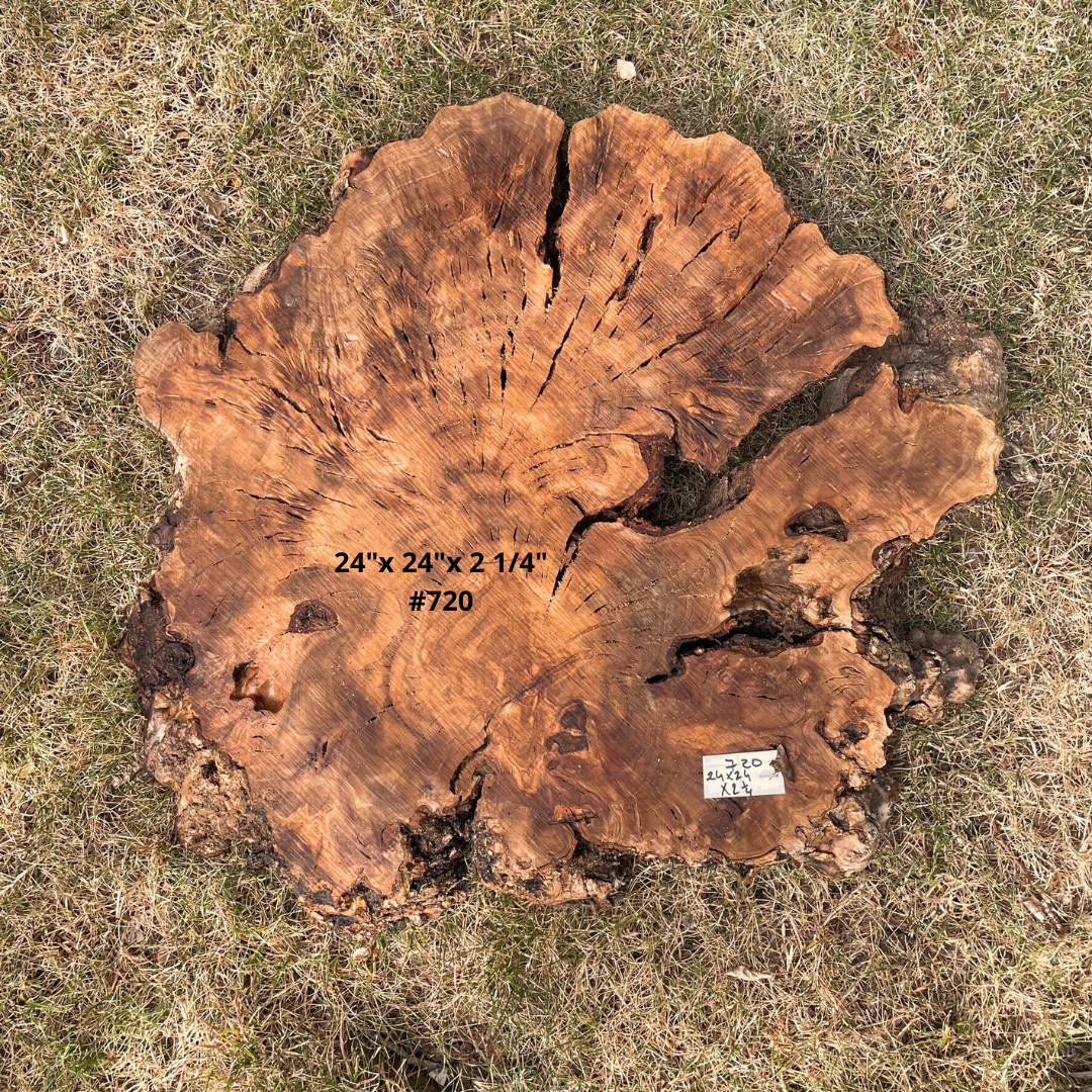 Live Edge Olive Wood Cookies for Woodworking, Crafting, Resin Table