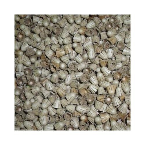 50pc 1/4″ Id – 2″ Long Red Kraft Super Tube w/ 100 caps