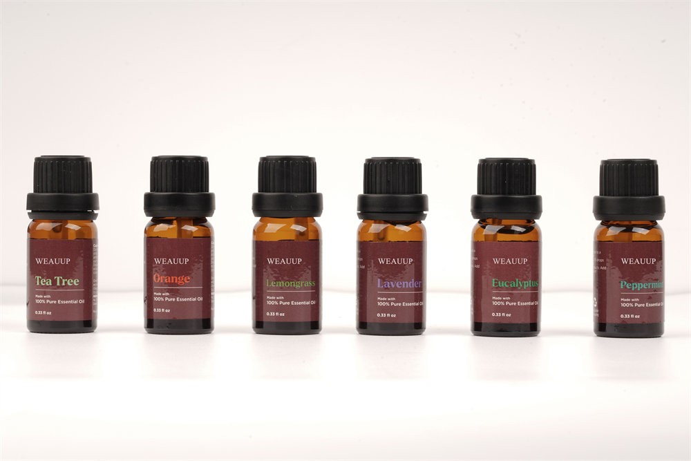 WEAUUP Premium Grade Fragrance Oil-Summer Time- Gift Set 6/10ml for Diffuser