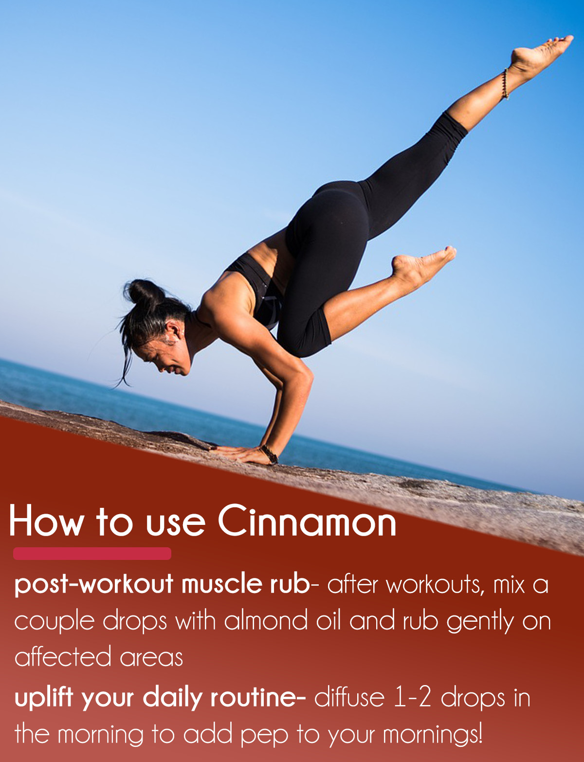 Bulk 32 fl oz Cinnamon (Cassia) Essential Oil Pure & Natural in Aluminum Bottle