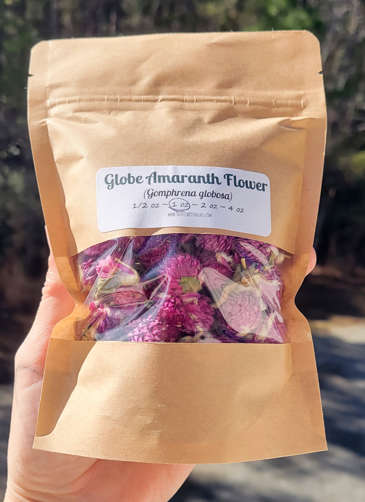 Globe Amaranth Flowers – Gomphrena globosa Dried Organic Apothecary Crafts Wicca
