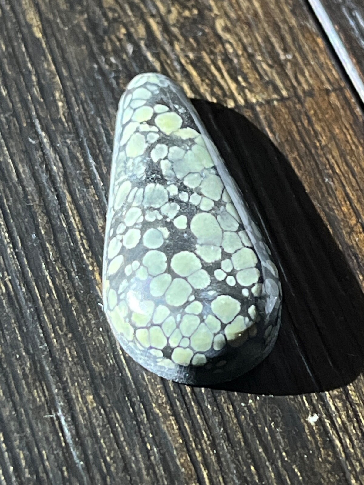 Tree Frog Variscite mine 19.55 ctw Pear Tear drop Cabochon NV, USA