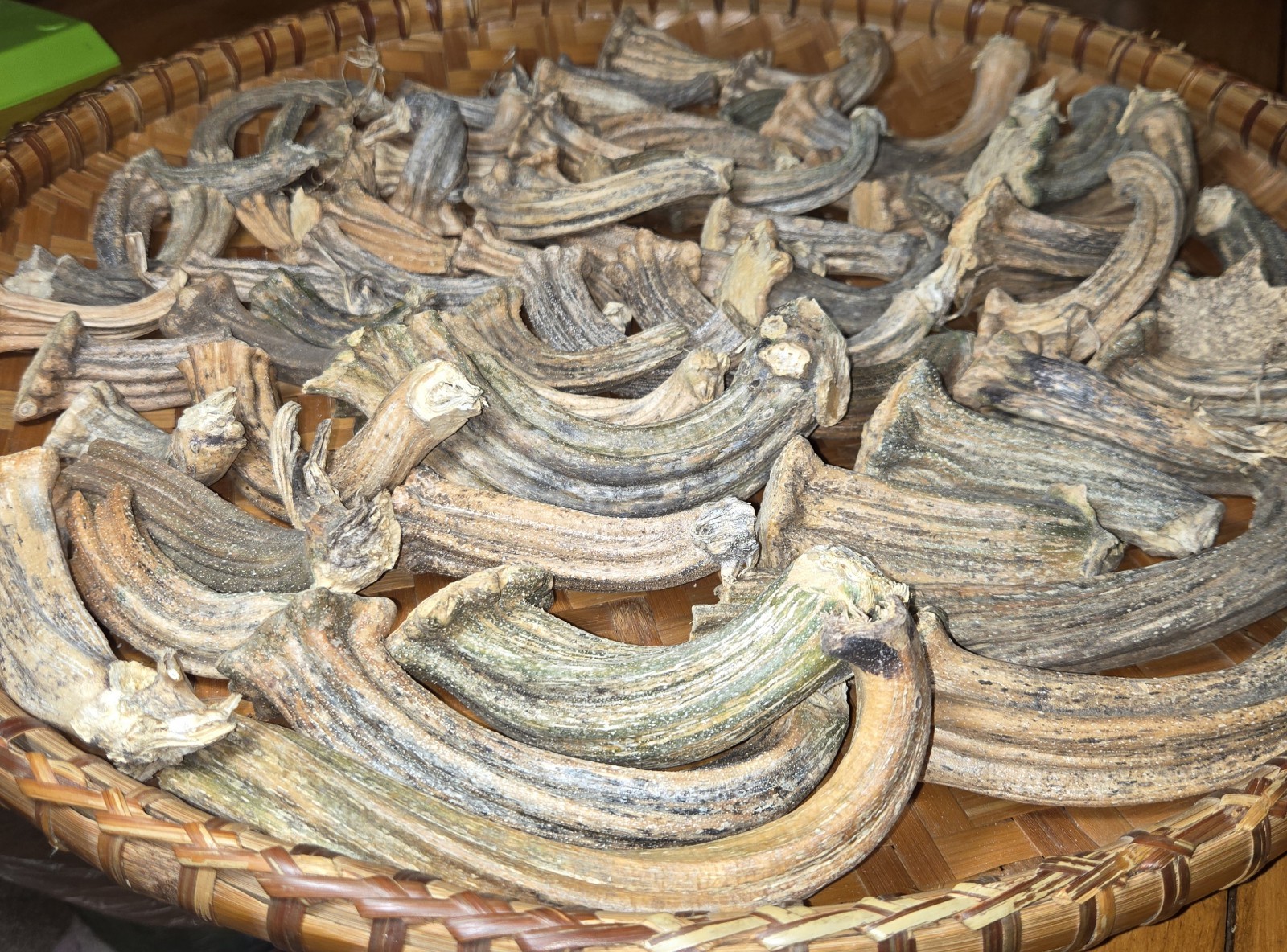 60+Quality Mix Lot Natural Dried Pumpkin Stems – Arts, Crafts, Botanical,Gourds